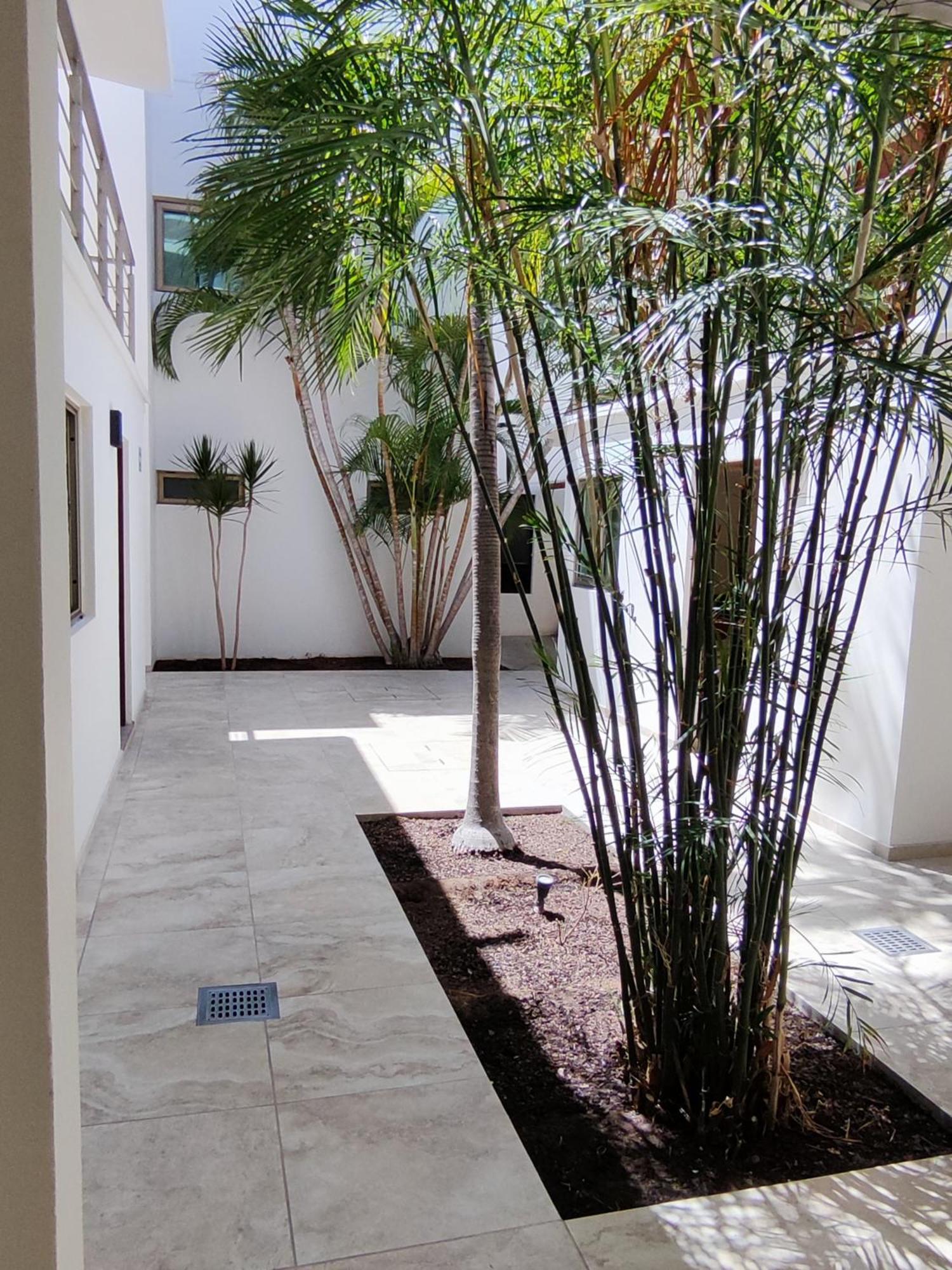 Hotel Lorimar لاباز المظهر الخارجي الصورة